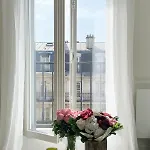 Luxurious Apartment Near Saint-Germain-Des-Pres